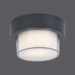Applique Murale / Plafonnier Paul Neuhaus Q-Erik Led Blanc, 1 Lumiere, Detecteur De Mouvement, Telecommandes, Changeur De Couleurs