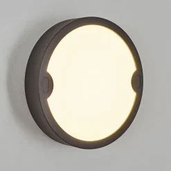 Applique Murale D'Exterieur Ruosina Led Anthracite, 1 Lumiere