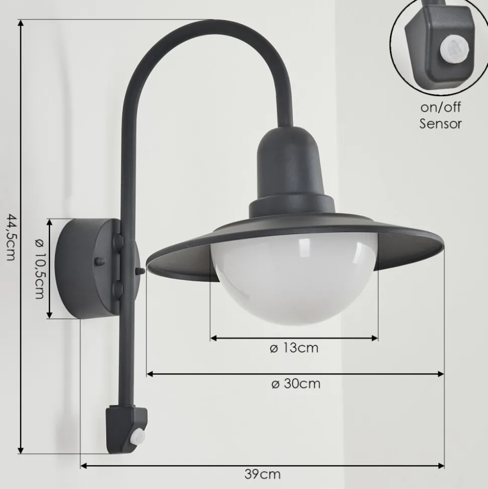Applique Murale D'Exterieur Pohei Anthracite, 1 Lumiere, Detecteur De Mouvement