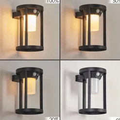 Applique Murale D'Exterieur Lokpano Led Noir, 1 Lumiere, Detecteur De Mouvement, Changeur De Couleurs