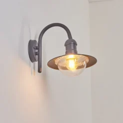 Applique Murale D'Exterieur Elima Anthracite, 1 Lumiere