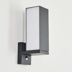 Applique Murale D'Exterieur Swanek Led Anthracite, 1 Lumiere, Detecteur De Mouvement