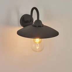 Applique Murale D'Exterieurcadeade Anthracite, 1 Lumiere