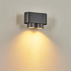 Applique Murale D'Exterieur Guampacha Anthracite, 2 Lumieres