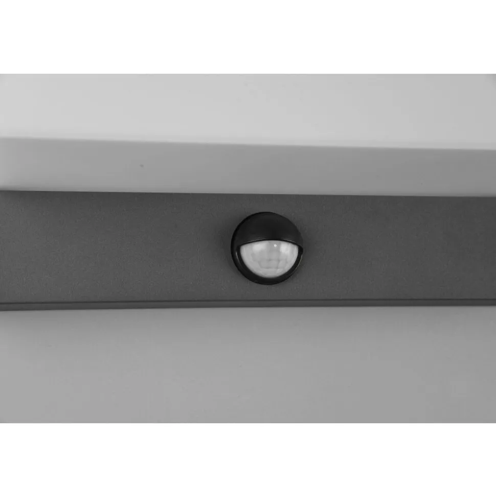 Applique Murale D'Exterieur Trio Nestos Led Anthracite, 1 Lumiere, Detecteur De Mouvement