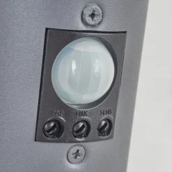Applique Murale D'Exterieur Tunes Anthracite, 1 Lumiere, Detecteur De Mouvement