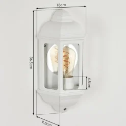 Applique Murale D'Exterieurouse Blanc, 1 Lumiere