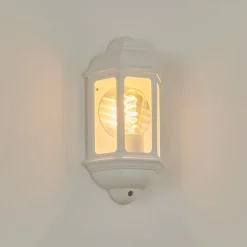 Applique Murale D'Exterieurouse Blanc, 1 Lumiere