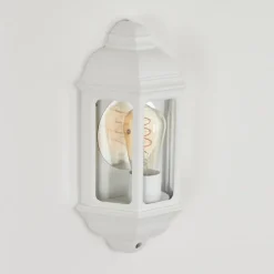 Applique Murale D'Exterieurouse Blanc, 1 Lumiere