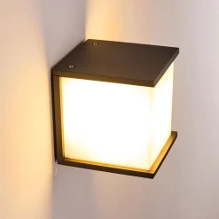 Applique Murale D'Exterieur Ebba Anthracite, 1 Lumiere