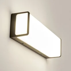Applique Murale D'Exterieurburseryd Led Anthracite, 1 Lumiere