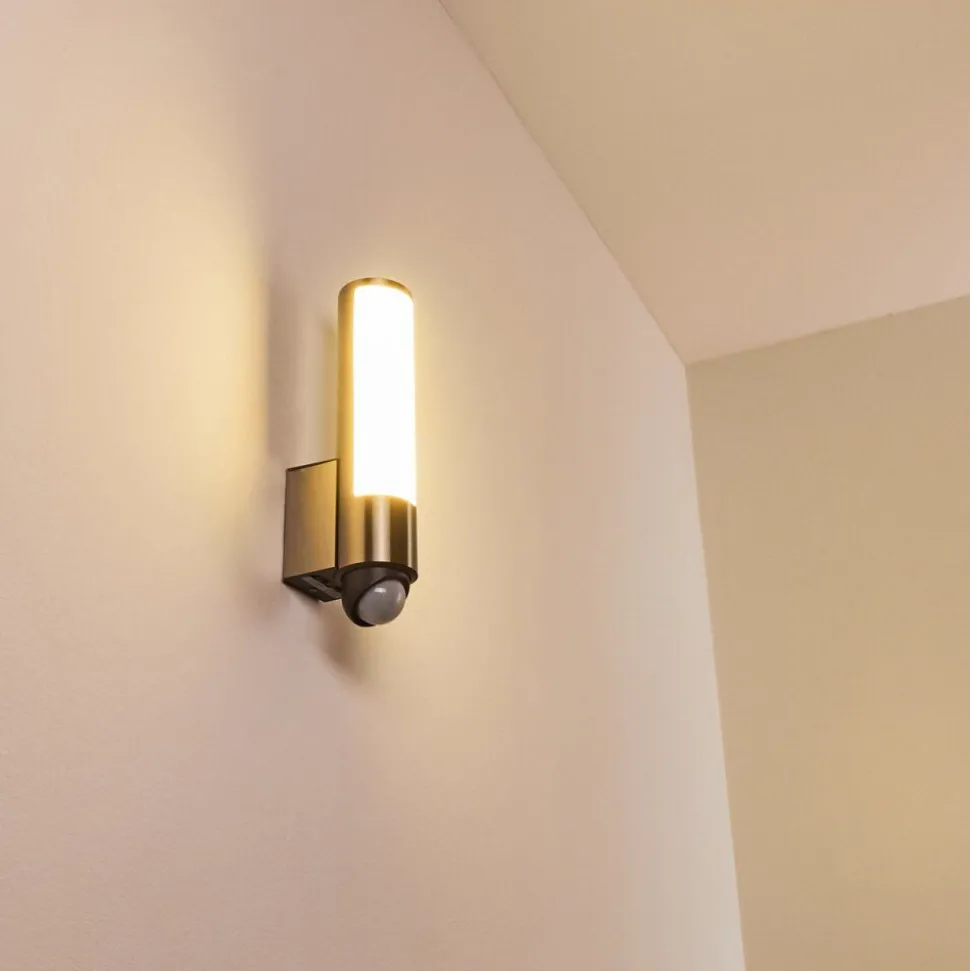 Applique Murale D'Exterieur Vason Led Acier Inoxydable, 1 Lumiere, Detecteur De Mouvement