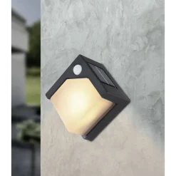 Applique Murale D'Exterieur Globo Solar Led Noir, 8 Lumieres, Detecteur De Mouvement