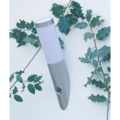 Applique Murale D'Exterieur Brilliant Chorus Acier Inoxydable, 1 Lumiere, Detecteur De Mouvement