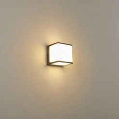 Applique Murale D'Exterieur Buckau Led Anthracite, Blanc, 1 Lumiere