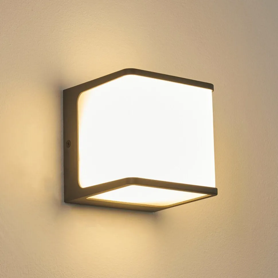 Applique Murale D'Exterieur Buckau Led Anthracite, Blanc, 1 Lumiere