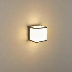 Applique Murale D'Exterieur Buckau Led Anthracite, Blanc, 1 Lumiere