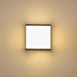 Applique Murale D'Exterieur Buckau Led Anthracite, Blanc, 1 Lumiere