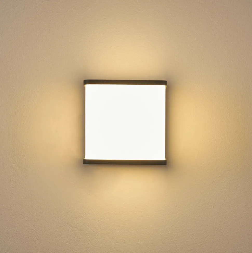 Applique Murale D'Exterieur Buckau Led Anthracite, Blanc, 1 Lumiere