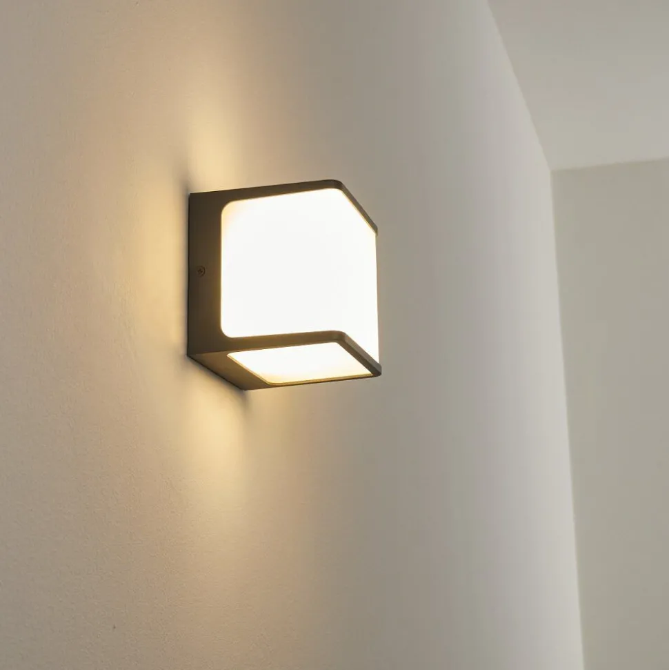 Applique Murale D'Exterieur Buckau Led Anthracite, Blanc, 1 Lumiere