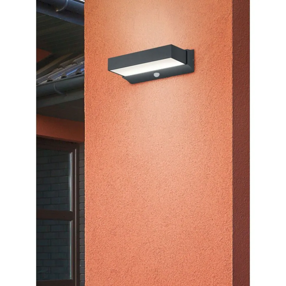 Applique Murale D'Exterieur Trio Cuando Led Anthracite, 1 Lumiere, Detecteur De Mouvement