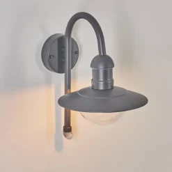 Applique Murale D'Exterieur Elima Anthracite, 1 Lumiere, Detecteur De Mouvement
