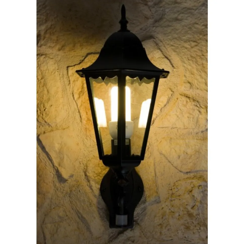 Applique Murale D'Exterieur Lutec Bristol Noir, Transparent, 1 Lumiere, Detecteur De Mouvement