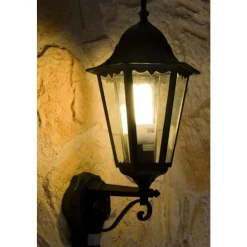 Applique Murale D'Exterieur Lutec Bristol Noir, Transparent, 1 Lumiere, Detecteur De Mouvement