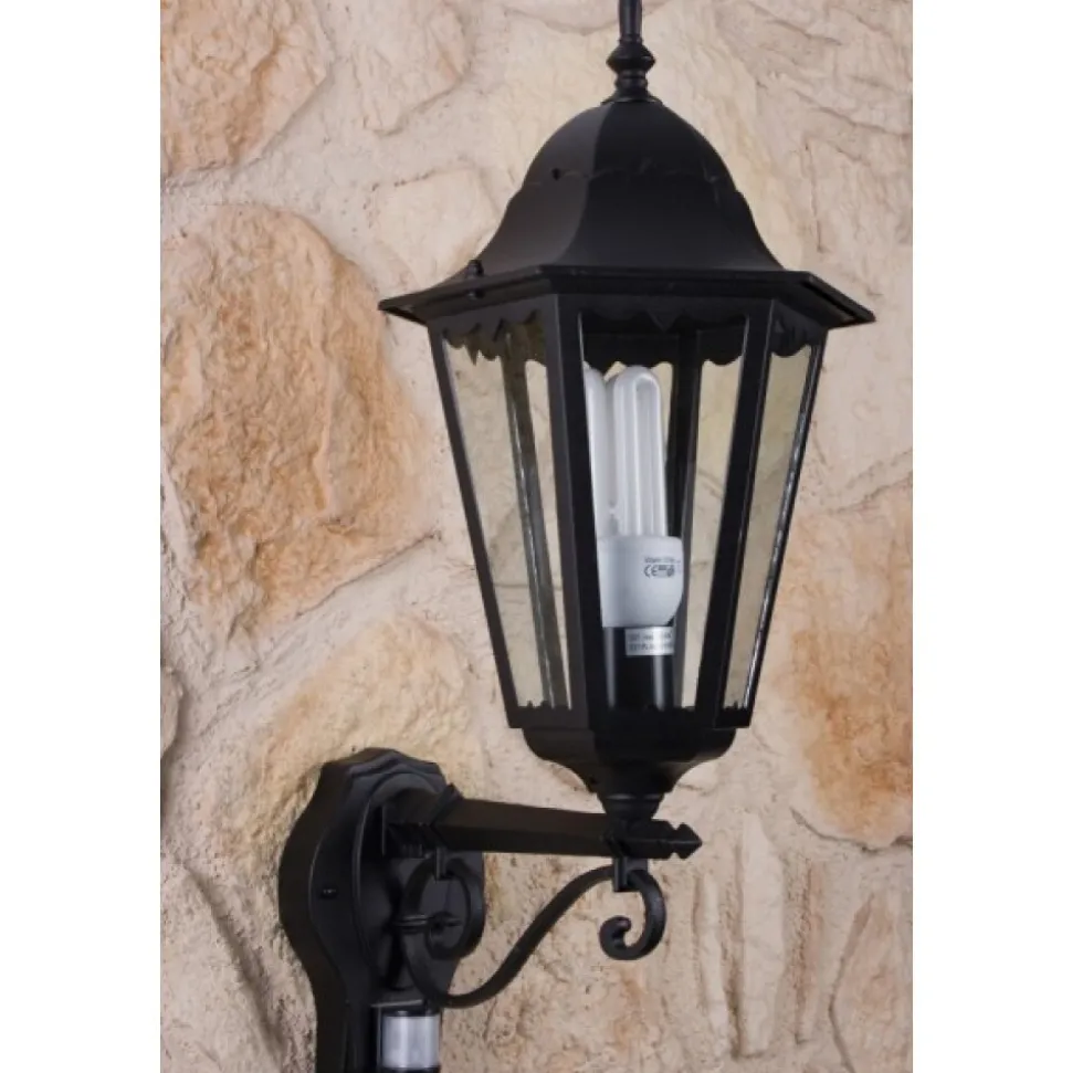 Applique Murale D'Exterieur Lutec Bristol Noir, Transparent, 1 Lumiere, Detecteur De Mouvement