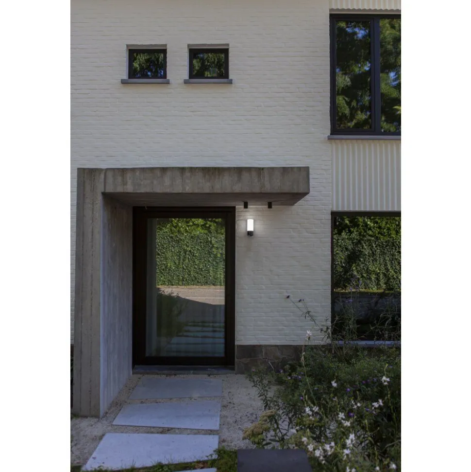 Applique Murale D'Exterieur Lutec Pollux Led Anthracite, 1 Lumiere, Detecteur De Mouvement