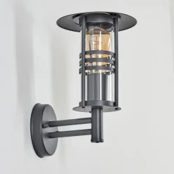 Applique Murale D'Exterieur Forli Anthracite, 1 Lumiere
