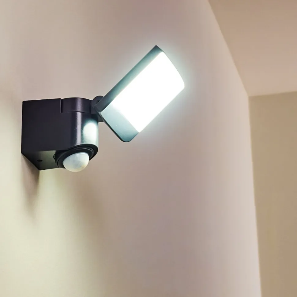 Applique Murale D'Exterieur Larvik Led Anthracite, 1 Lumiere, Detecteur De Mouvement