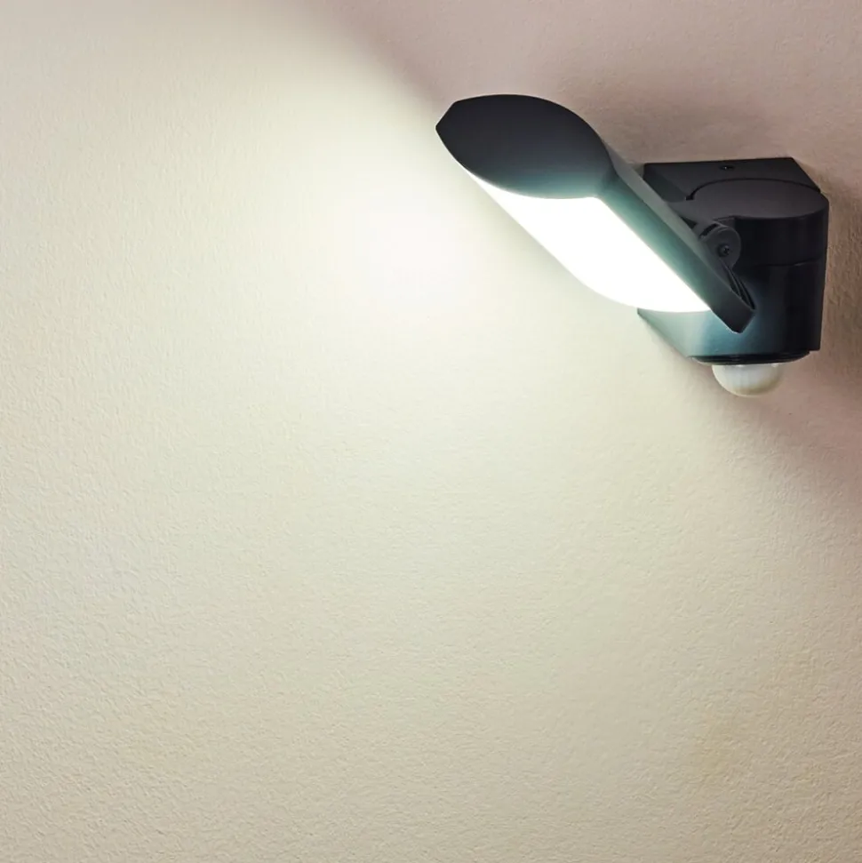 Applique Murale D'Exterieur Larvik Led Anthracite, 1 Lumiere, Detecteur De Mouvement
