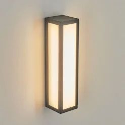 Applique Murale D'Exterieurapidou Led Anthracite, 1 Lumiere