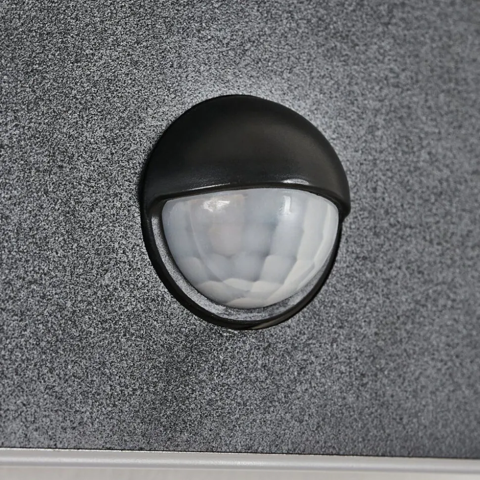 Applique Murale D'Exterieur Haga Led Noir, 1 Lumiere, Detecteur De Mouvement