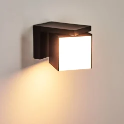 Applique Murale D'Exterieur Swanek Led Noir, 1 Lumiere