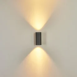 Applique Murale D'Exterieur Cebuentos Anthracite, 2 Lumieres