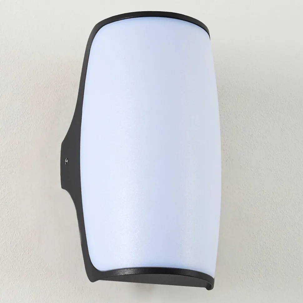 Applique Murale D'Exterieur Svea Led Anthracite, 1 Lumiere