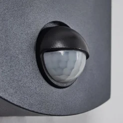 Applique Murale D'Exterieur Carinola Led Anthracite, 1 Lumiere, Detecteur De Mouvement