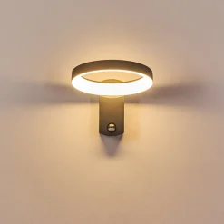 Applique Murale D'Exterieur Carinola Led Anthracite, 1 Lumiere, Detecteur De Mouvement