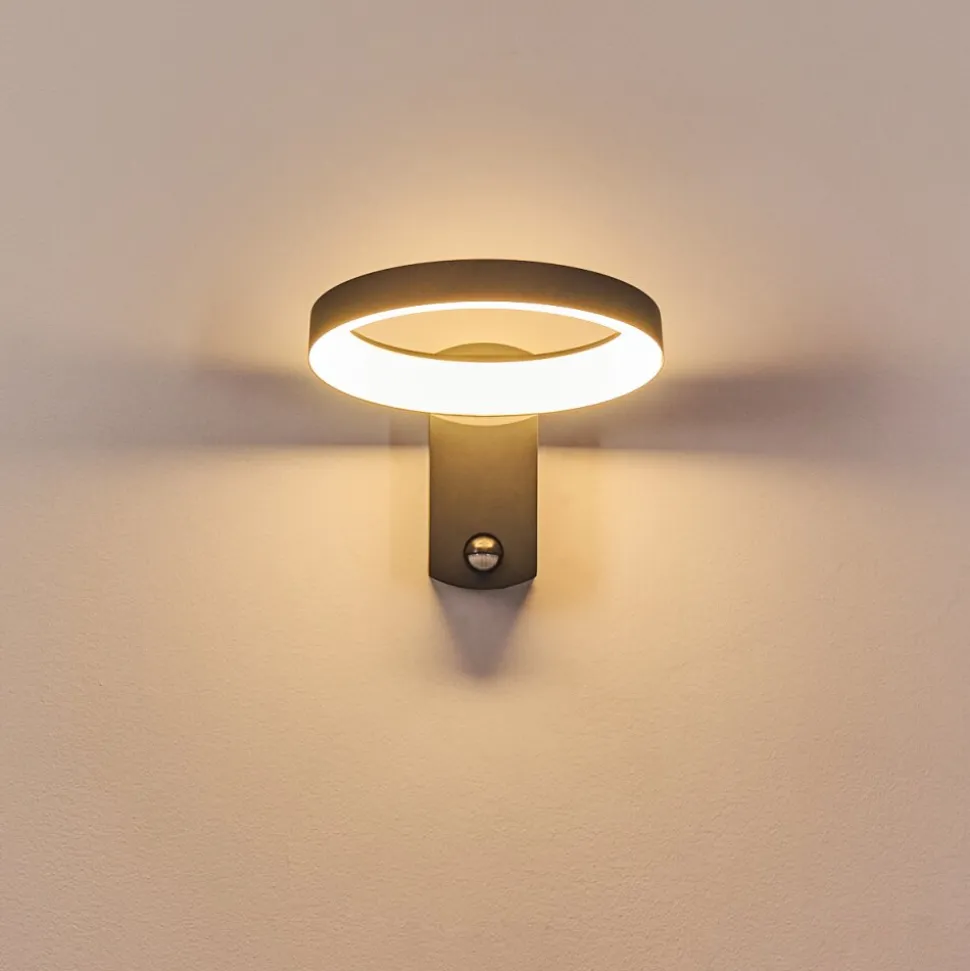 Applique Murale D'Exterieur Carinola Led Anthracite, 1 Lumiere, Detecteur De Mouvement