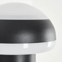 Applique Murale D'Exterieur Vinara Led Noir, 1 Lumiere, Detecteur De Mouvement