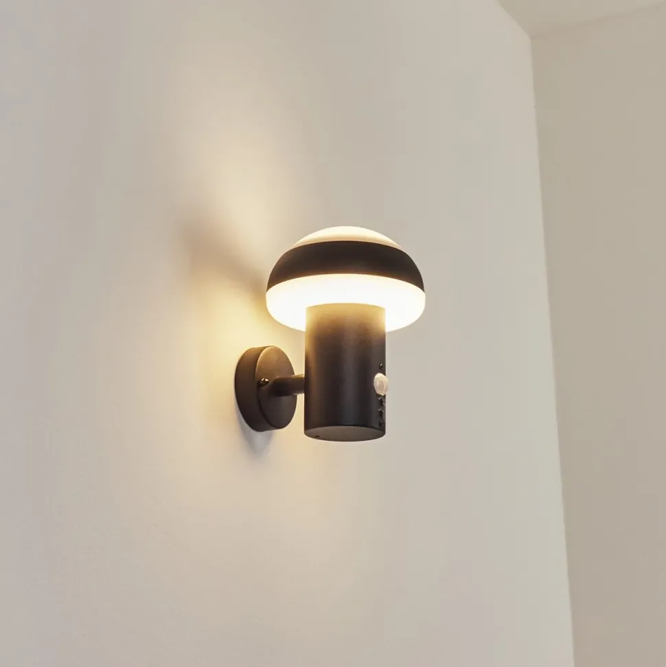 Applique Murale D'Exterieur Vinara Led Noir, 1 Lumiere, Detecteur De Mouvement