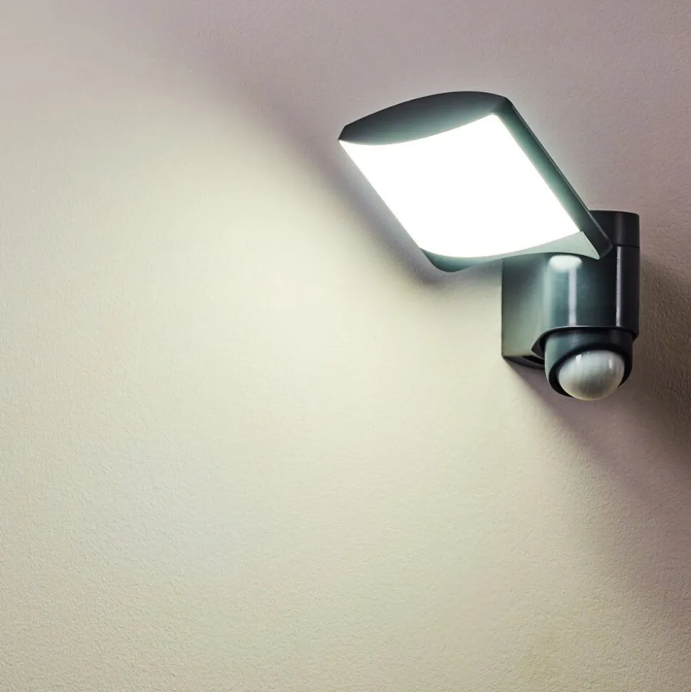 Applique Murale D'Exterieur Larvik Led Anthracite, 1 Lumiere, Detecteur De Mouvement