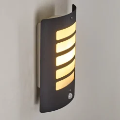 Applique Murale D'Exterieur Alslev Anthracite, 1 Lumiere, Detecteur De Mouvement