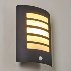 Applique Murale D'Exterieur Alslev Anthracite, 1 Lumiere, Detecteur De Mouvement