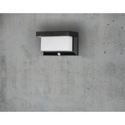 Applique Murale D'Exterieur Eglo Z_Solar Led Noir, 32 Lumieres, Detecteur De Mouvement