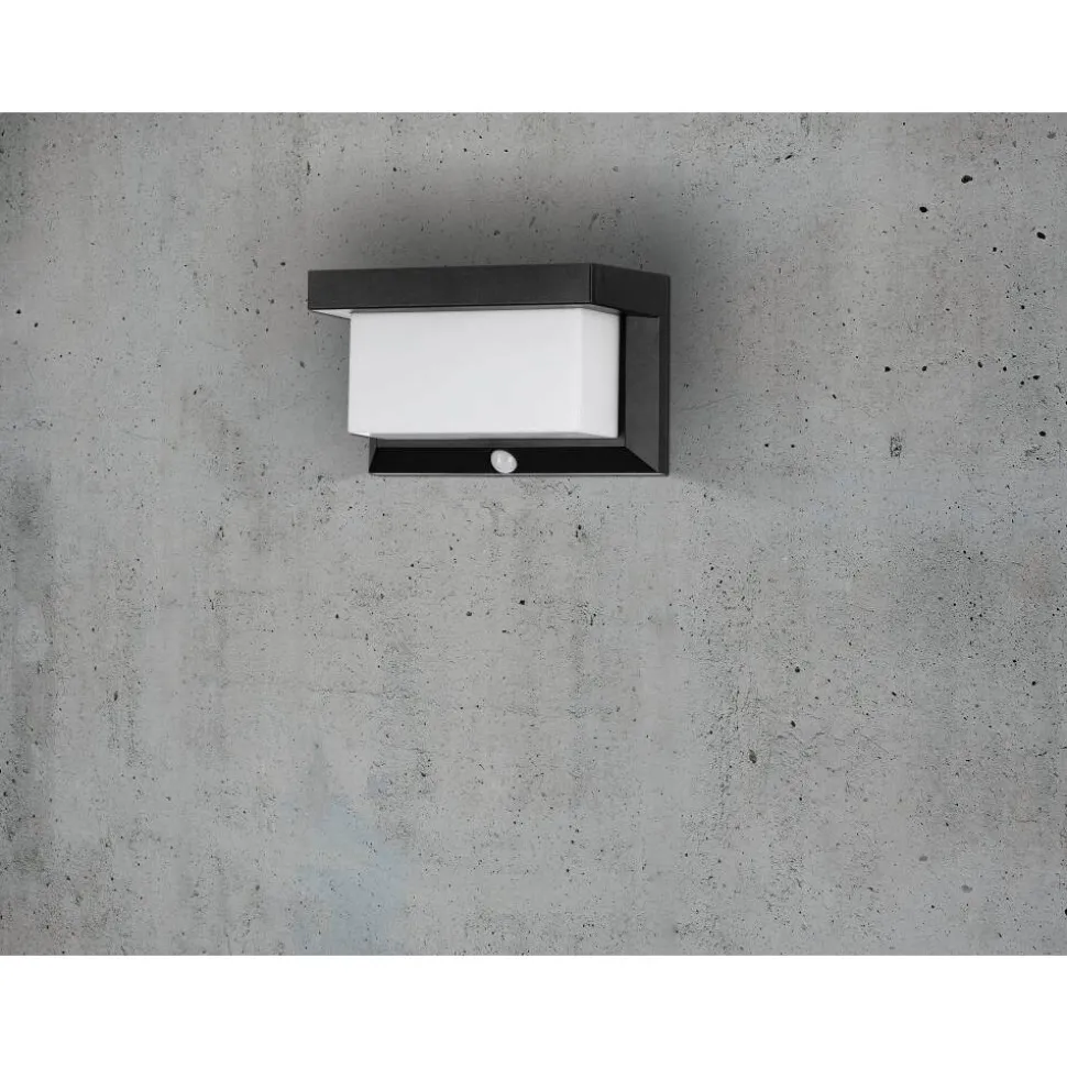 Applique Murale D'Exterieur Eglo Z_Solar Led Noir, 32 Lumieres, Detecteur De Mouvement