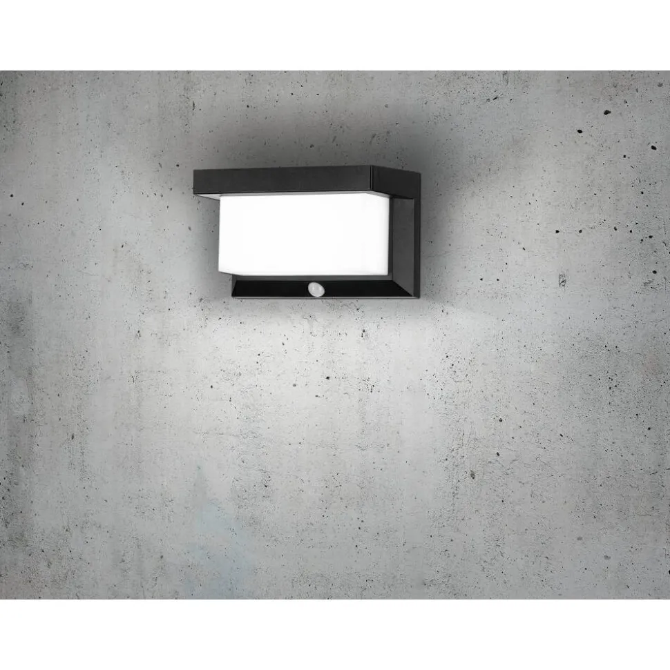 Applique Murale D'Exterieur Eglo Z_Solar Led Noir, 32 Lumieres, Detecteur De Mouvement