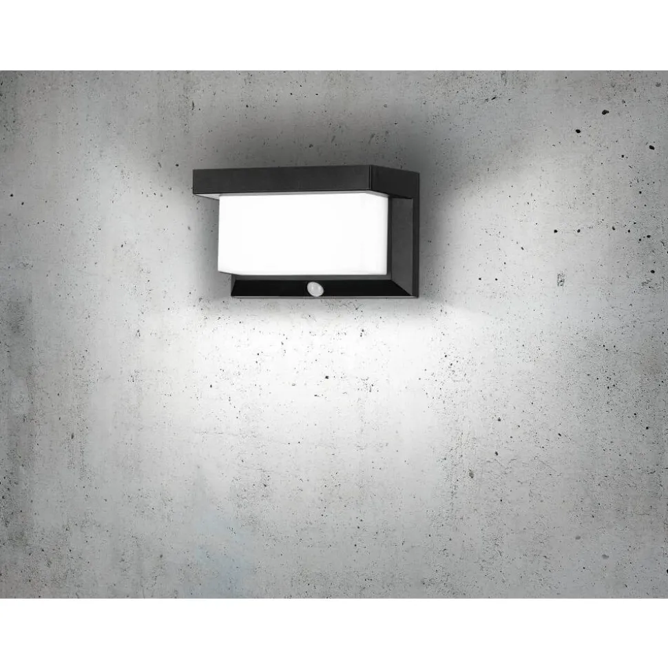 Applique Murale D'Exterieur Eglo Z_Solar Led Noir, 32 Lumieres, Detecteur De Mouvement